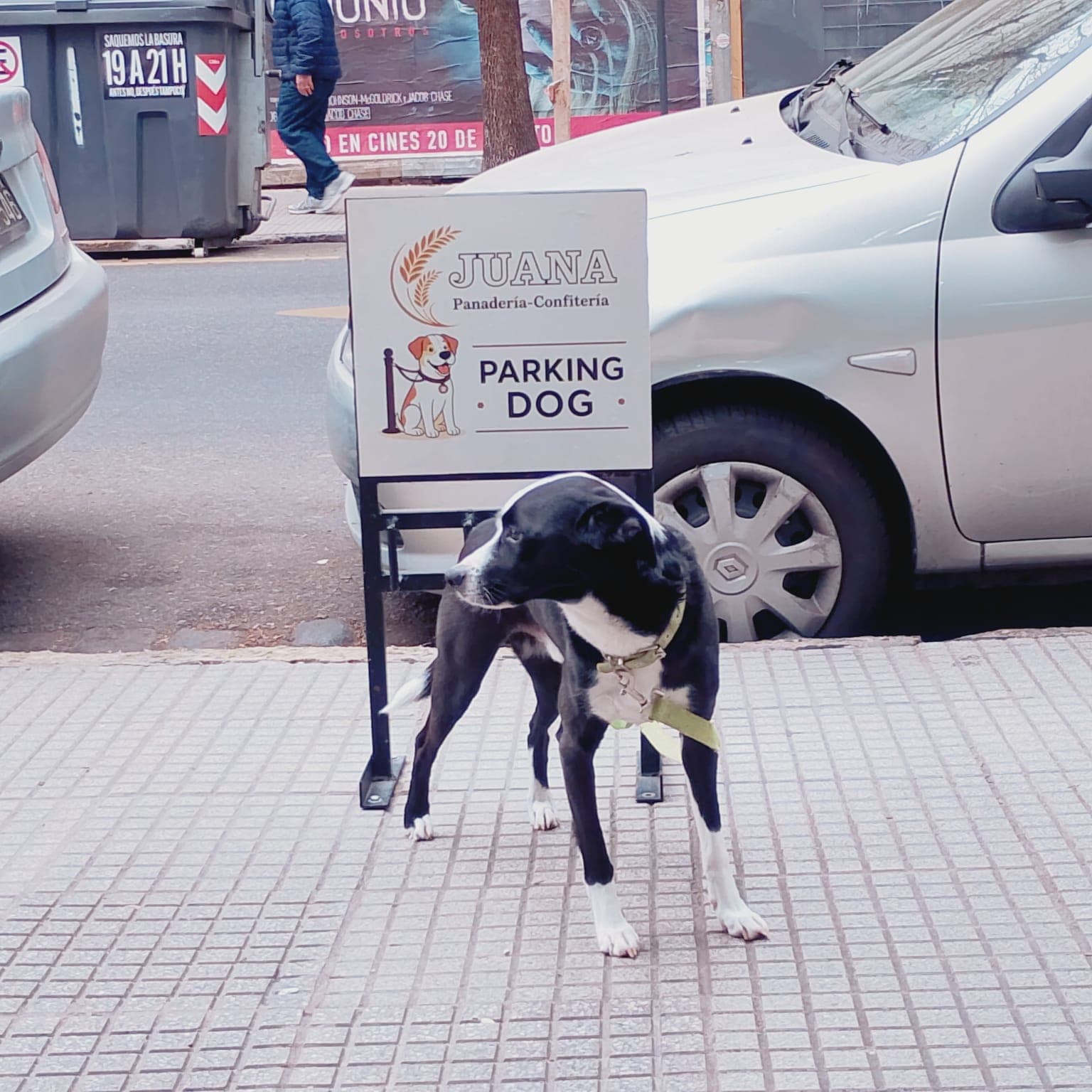 Cartel «Parking dog» de Juana en la vereda, con un perro esperando atado junto al cartel
